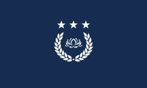 NDF Flag.png